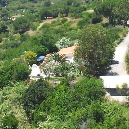 Casa vacanze Alloggi Del Mirto A Morcone - Goelba Capoliveri (Isola d'Elba)