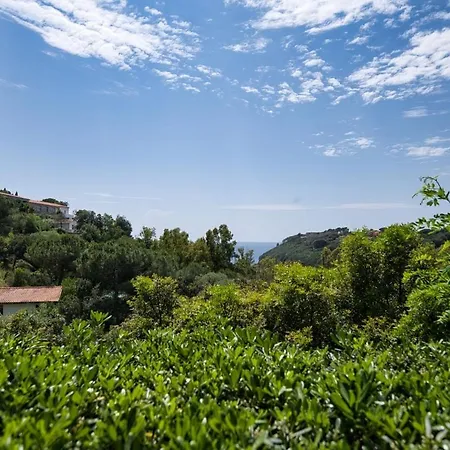 Alloggi Del Mirto A Morcone - Goelba Casa vacanze Capoliveri (Isola d'Elba)