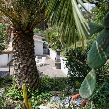 Alloggi Del Mirto A Morcone - Goelba Capoliveri (Isola d'Elba)