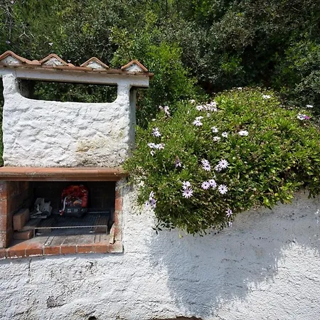 Casa vacanze Alloggi Del Mirto A Morcone - Goelba Capoliveri (Isola d'Elba)